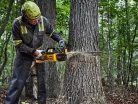 DeWalt DCMCS575X1-QW Akkus láncfűrész kofferben 54V FLEXVOLT (1x3,0Ah+töltő)